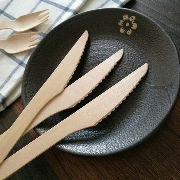 <img src=Ξύλινα Μαχαίρια Μίας Χρήσης 100 τεμ Dolphin alt=Μαύρο τηγάνι πάνω σε εστία κουζίνας με 3 ξύλινα μαχαίρια μέσα>