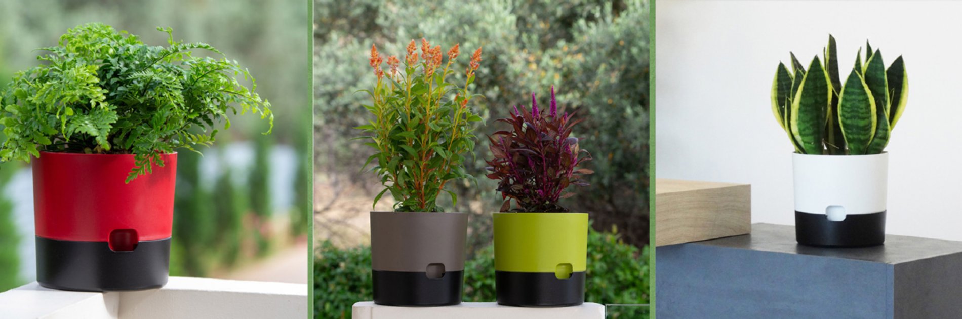 New colorful pots with self watering mechanism