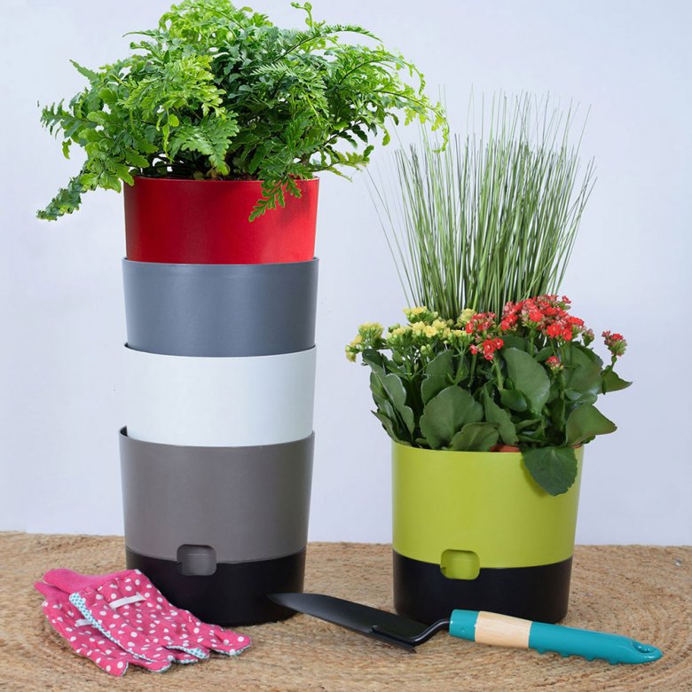 Self watering pots in many colors